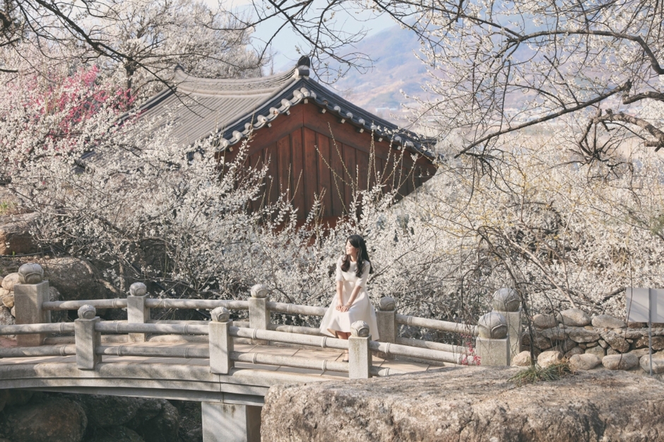 광양매화축제