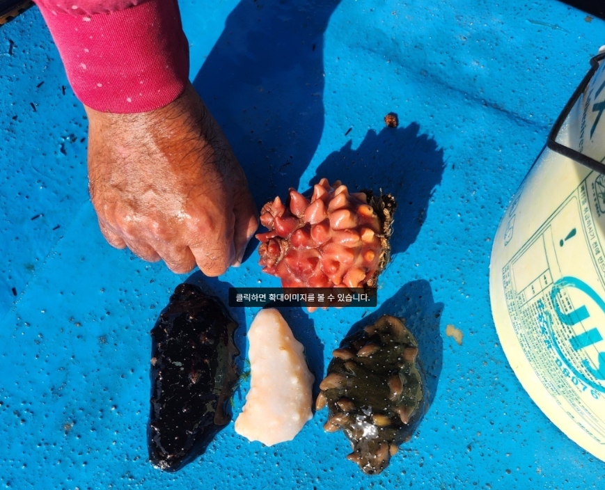 "푹 쉬면 다행이야" 백해삼