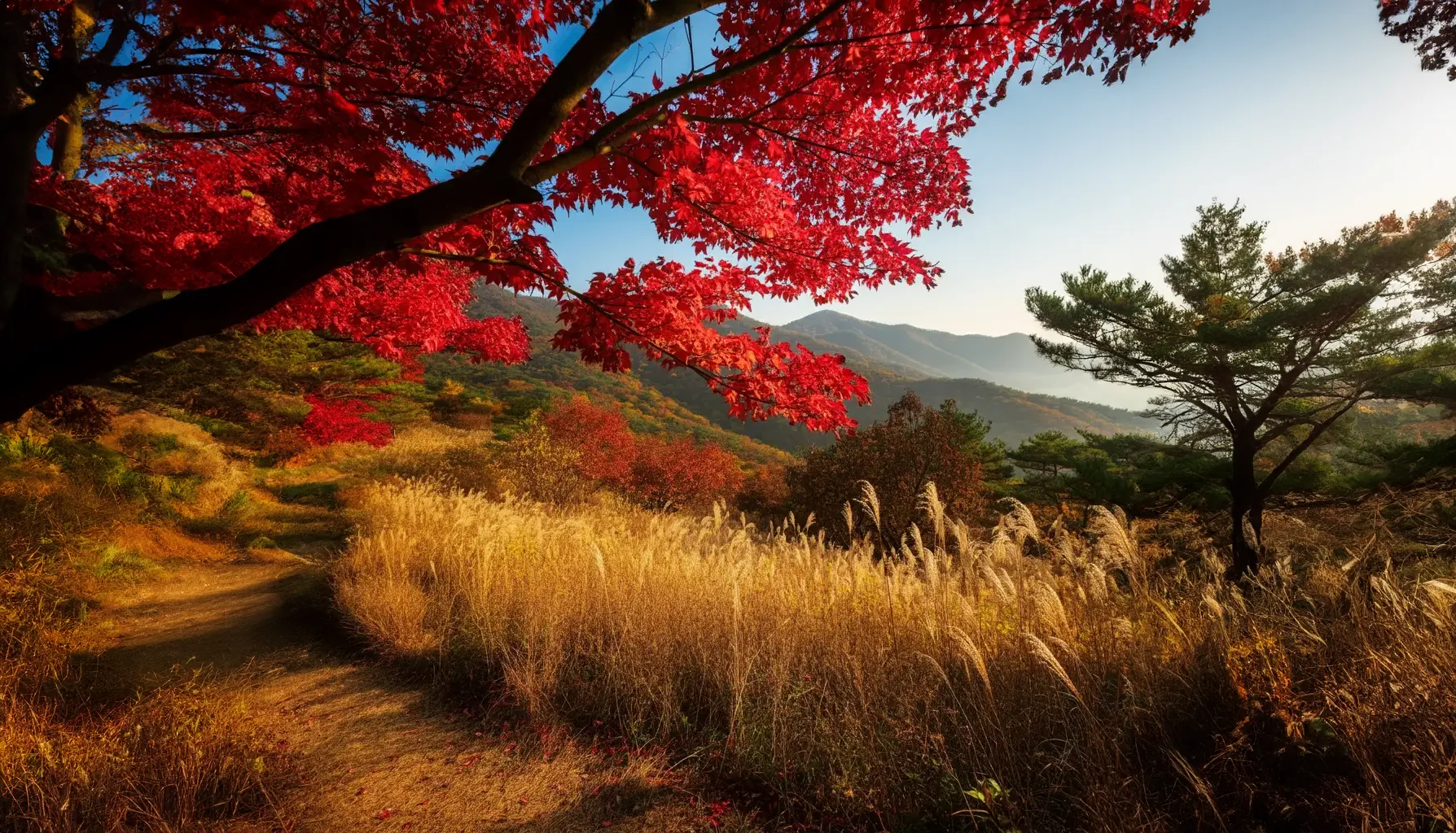 가을 풍경