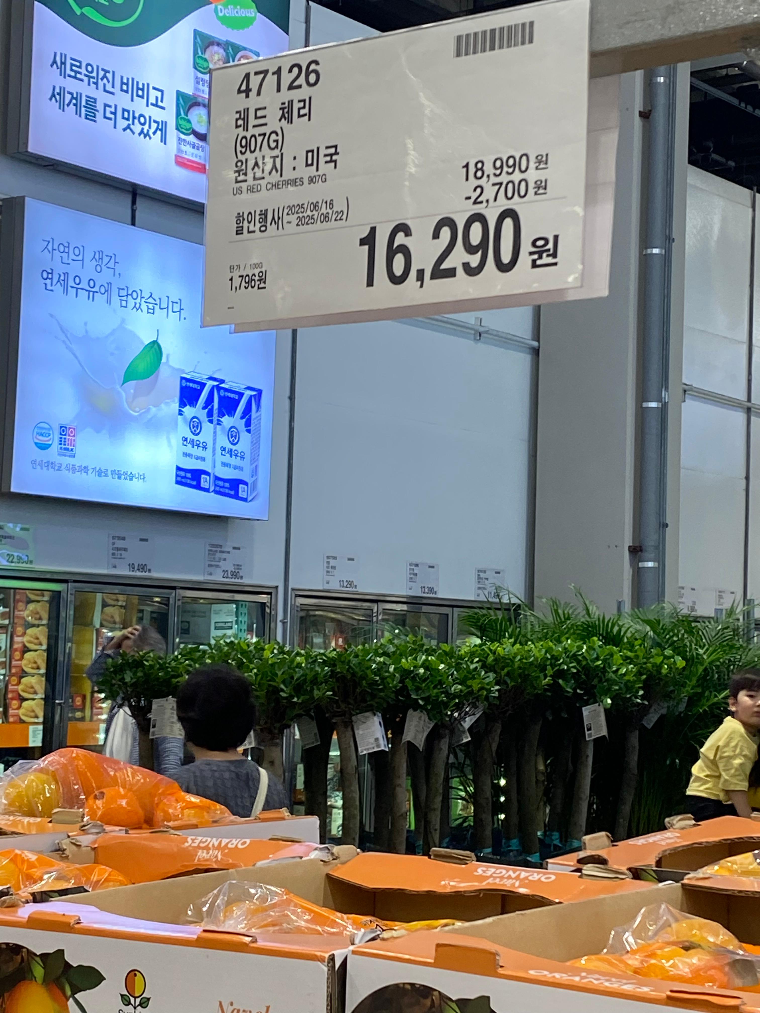 레드체리