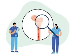 골밀도 검사수치