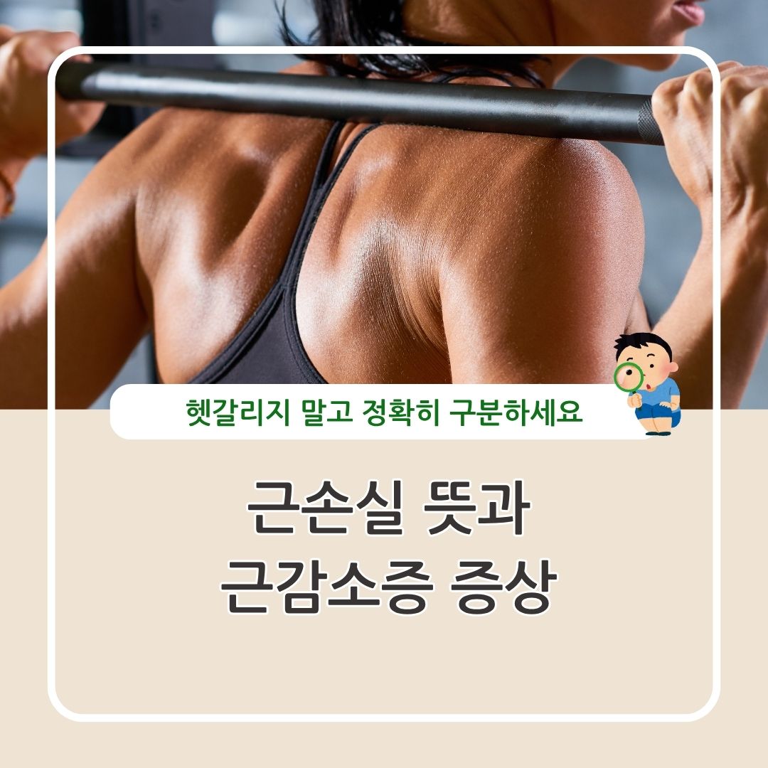 근솔실과 근감소증 증상과 차이 대응 방법