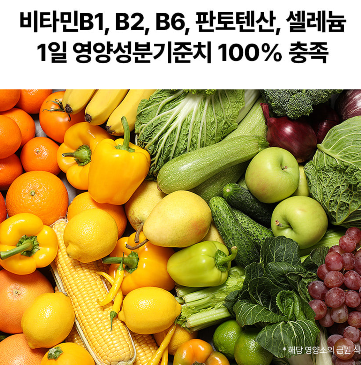 푸드올로지 빨간통 다이어트