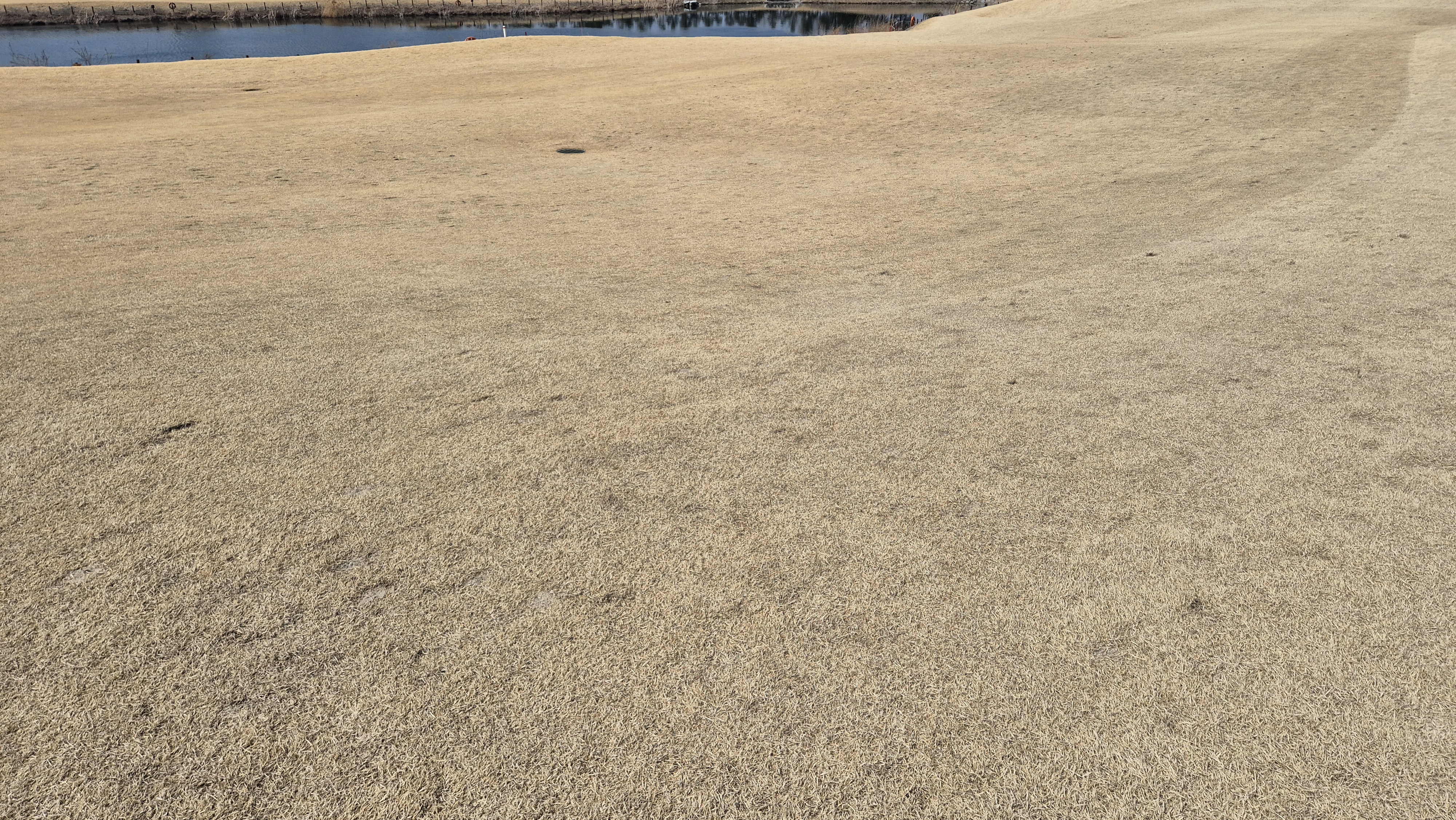 이글몬트cc 히든-이글 코스 라운드 후기