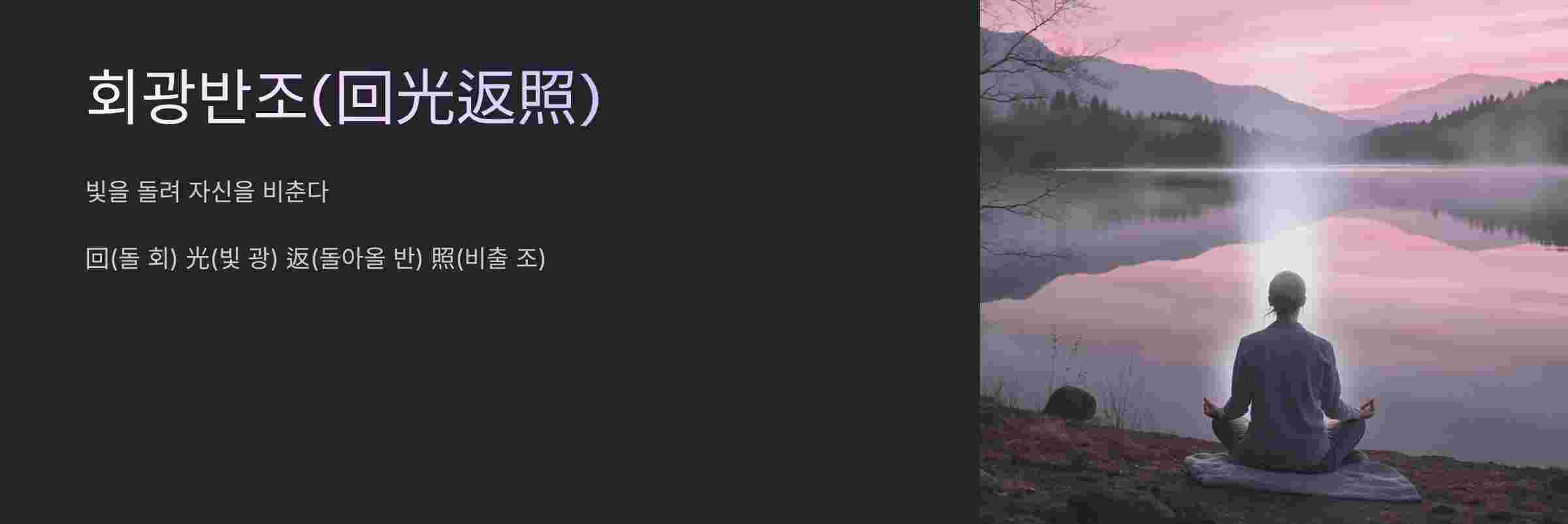 회광반조란