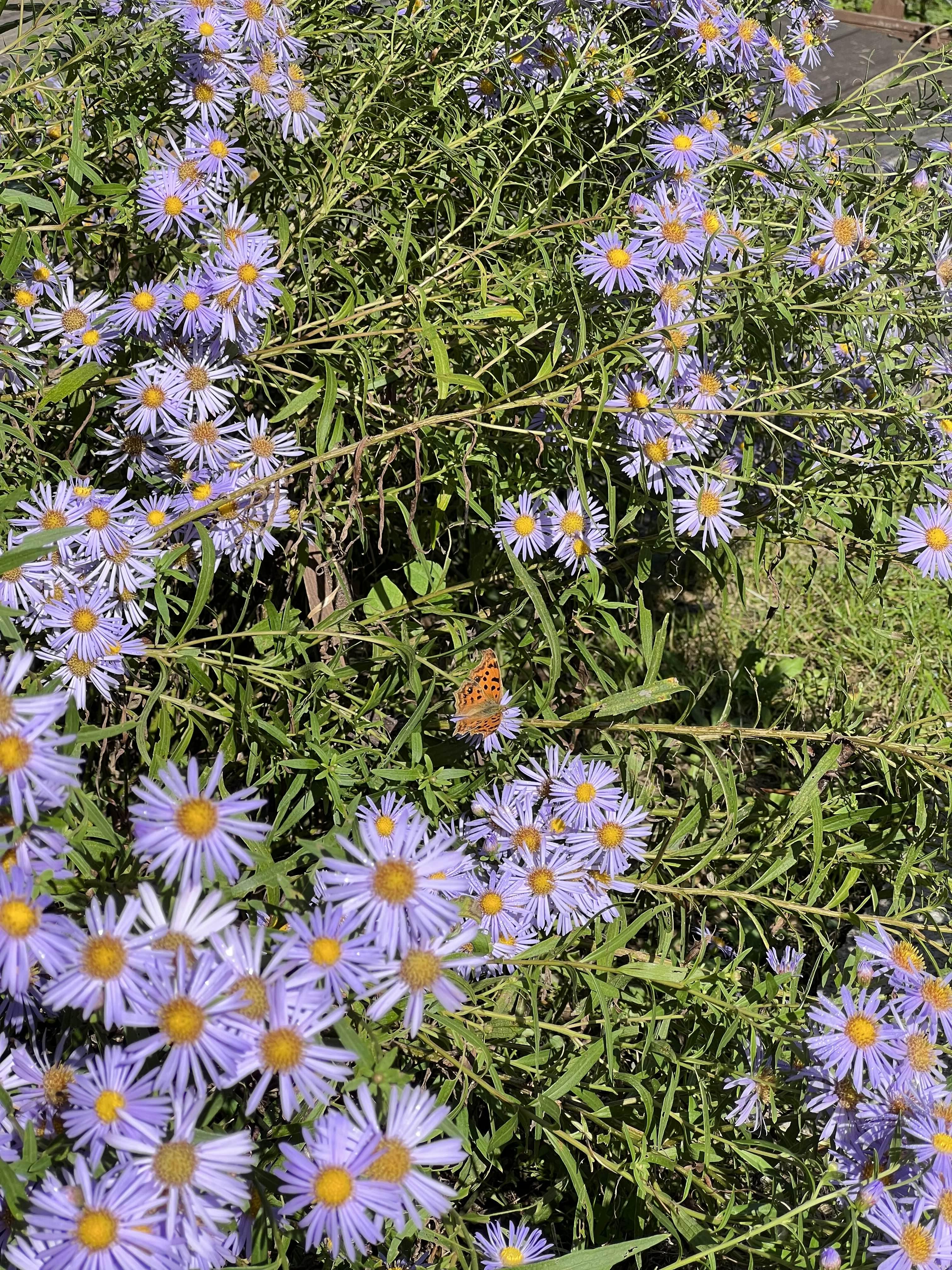 경기도 산행 추천