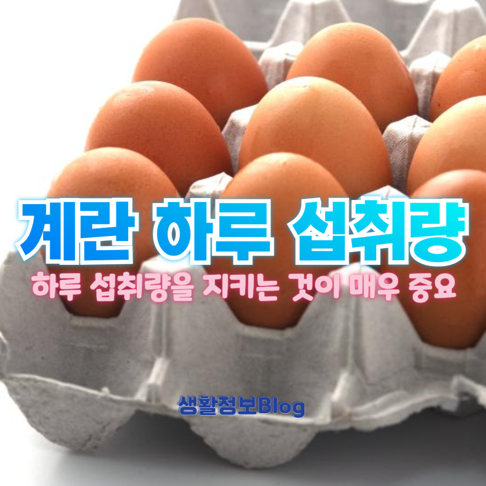 계란 하루 섭취량