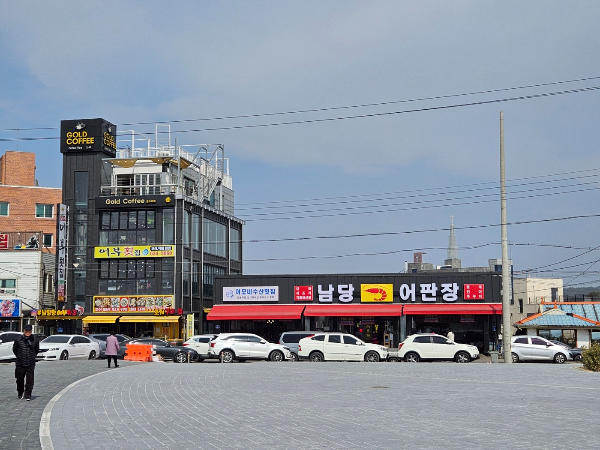 어판장에서 새조개 구입