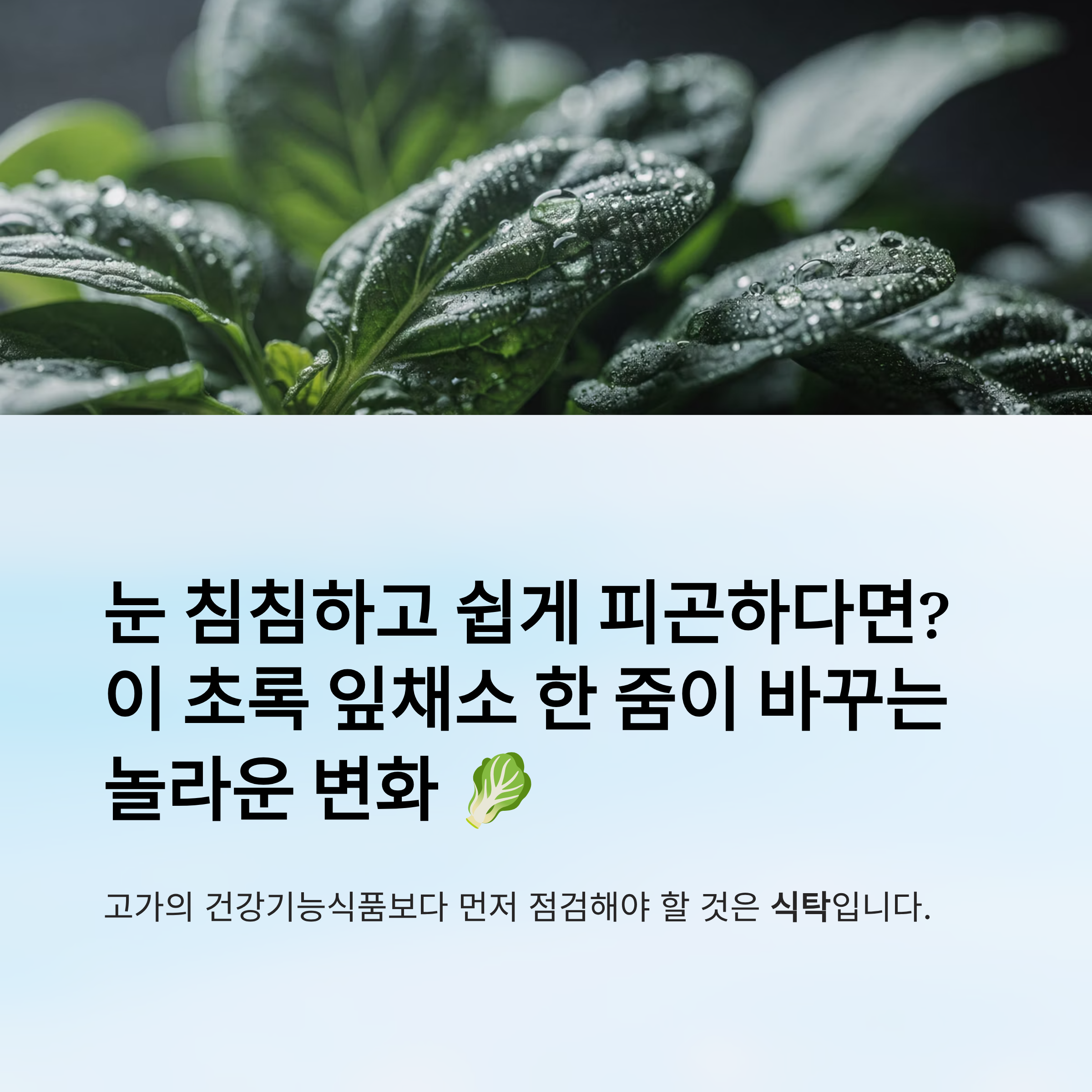 눈이 침침하고 쉽게 피곤하다면? 이 초록 잎채소 한 줌이 바꾸는 놀라운 변화
