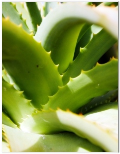 튼살 없애는법 및 예방법