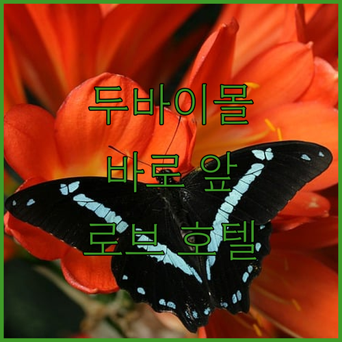 로브 다운타운 두바이 숙박 후기, 두