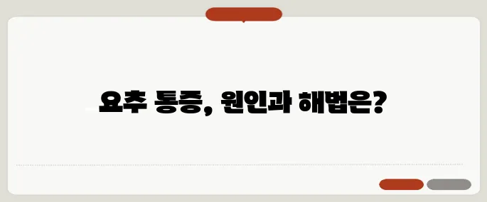 요추 통증 원인과 스트레칭