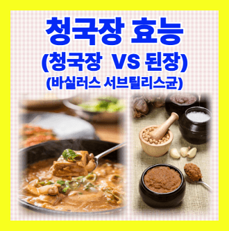 청국장 효능 청국장과 된장 바실러스서브틸리스균