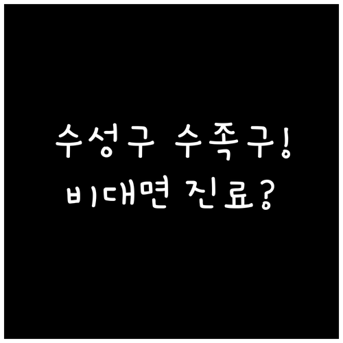수성구 수족구 병원 진료 시간 비대면..