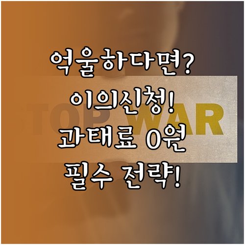 부당 처분에 대응하는 교통 범칙금 과..