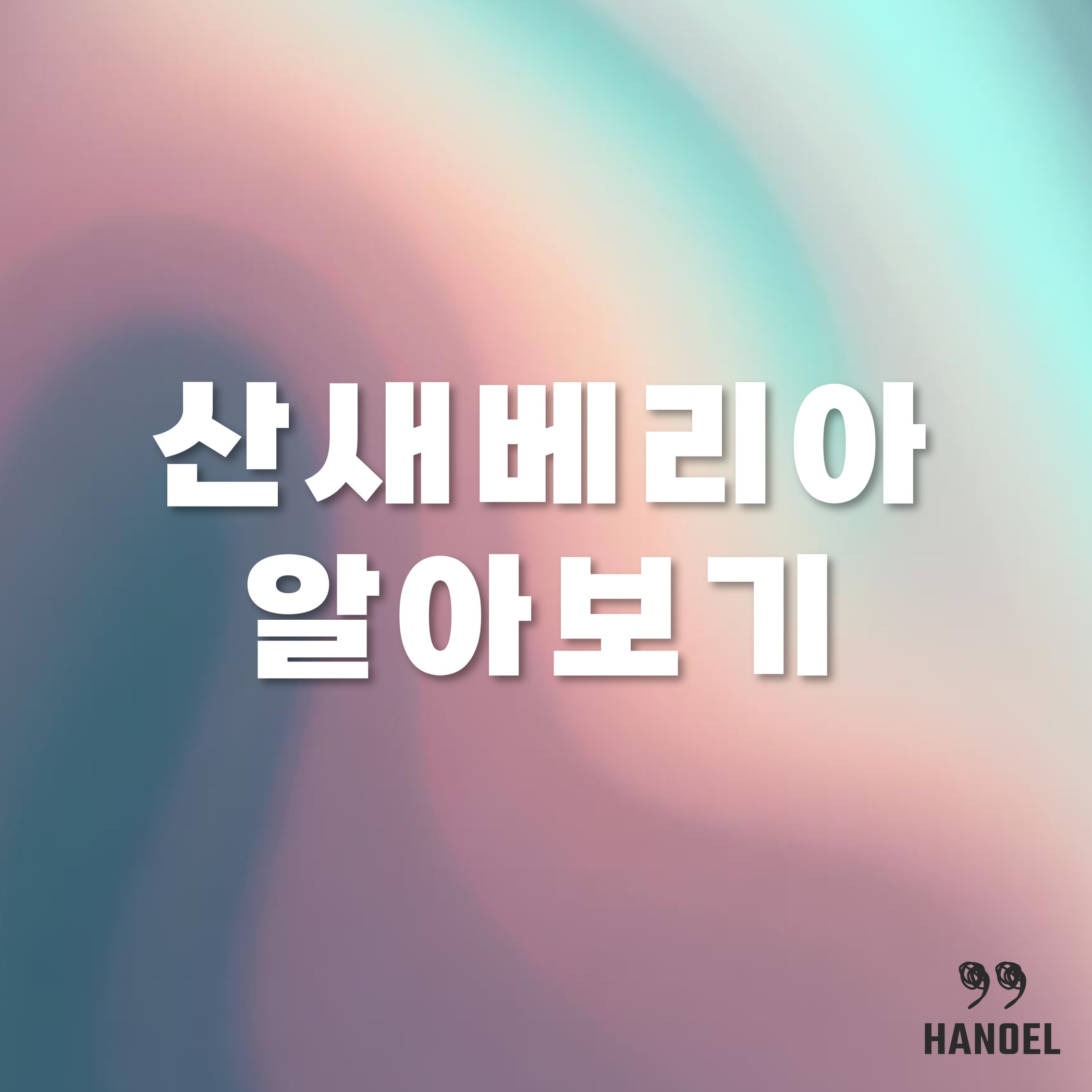 산새베리아 알아보기 꽃말과 키우기