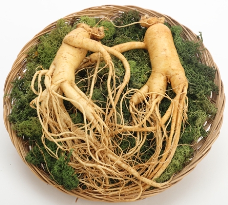 한국의 떡 종류 인삼떡