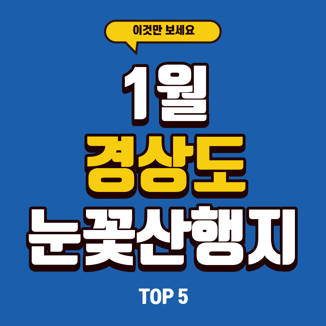 1월 경상도 눈꽃산행지 5곳 추천