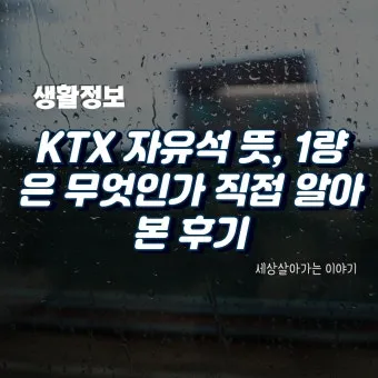 ktx 자유석이란 예매 방법 입석 비교 가격_20