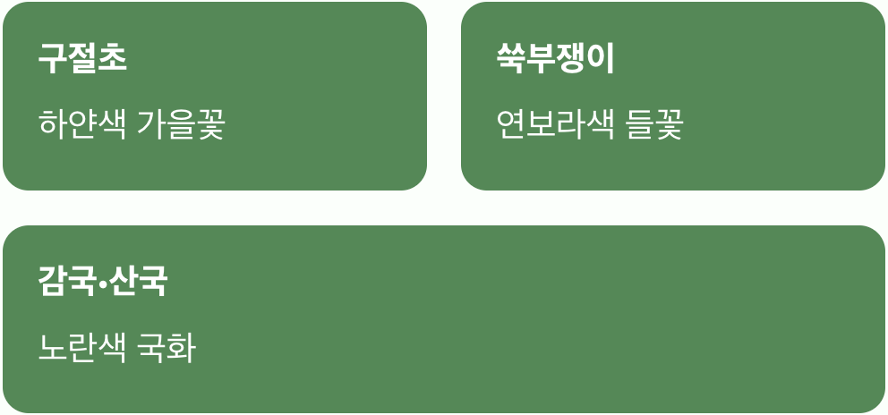 하나의 이름, 여러 개의 얼굴