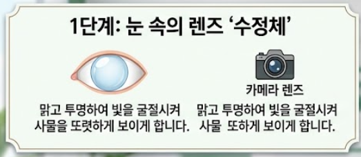 백내장 증상