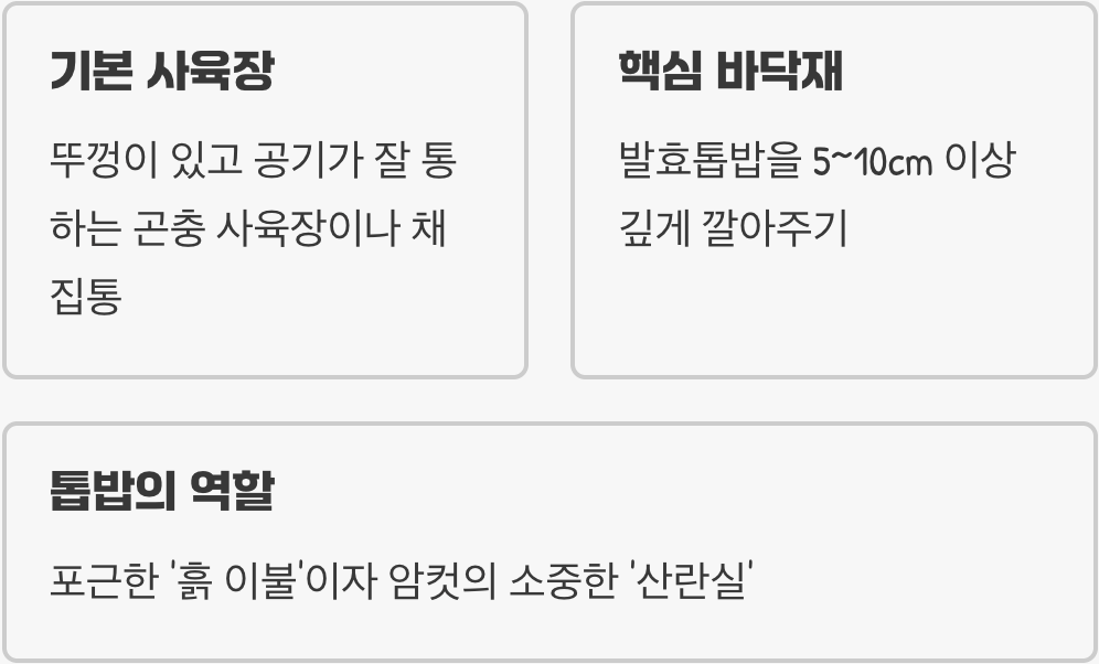 아늑한 숲속 집 꾸미기&amp;#44; &amp;#39;사육장 세팅&amp;#39;