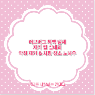 러브버그 체액 냄새 제거 팁 실내외 악취 제거 &amp; 차량 청소 노하우