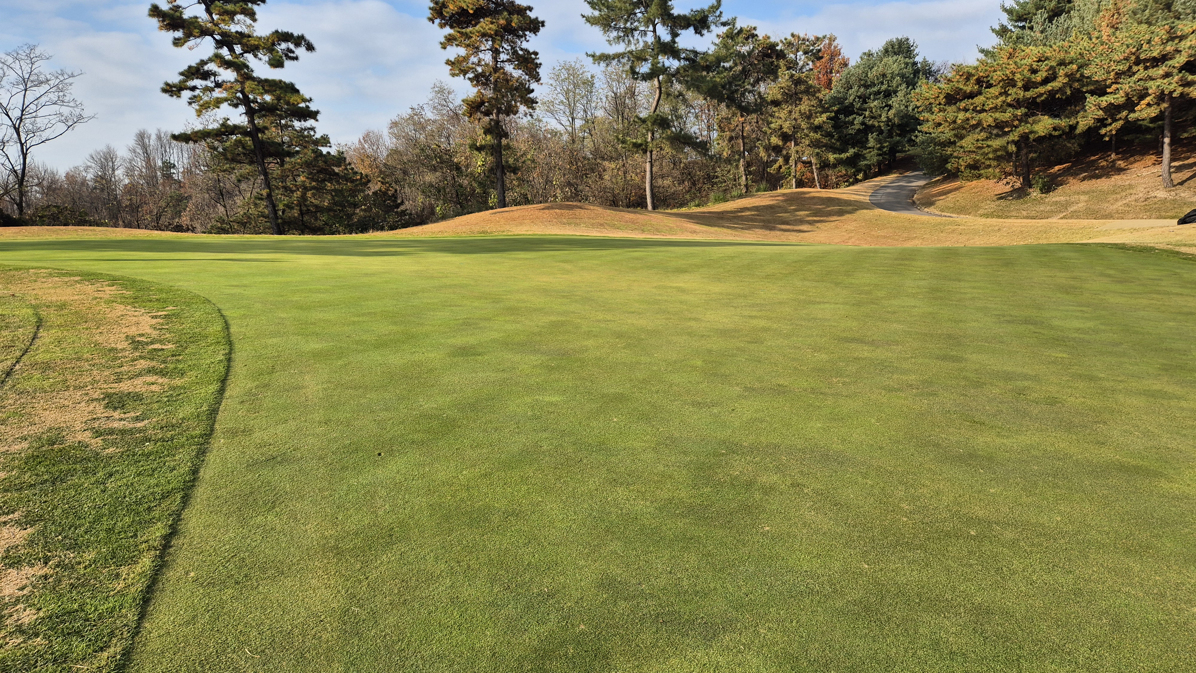 올데이 떼제베cc 가람-누리(서-남) 그린빠르기 및 난이도