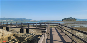 장사도 병풍도 녹도 대장도 내도 월등 연홍도 거문도 욕지도 가는 방법4