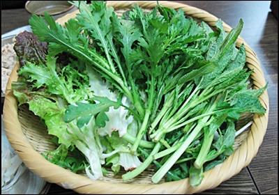 곰보배추 효능, 먹는 법 총정리