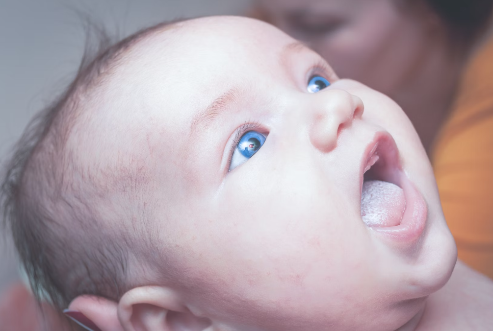 첫만남이용권 11