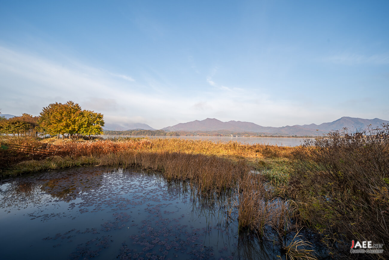 팔당물안개정원