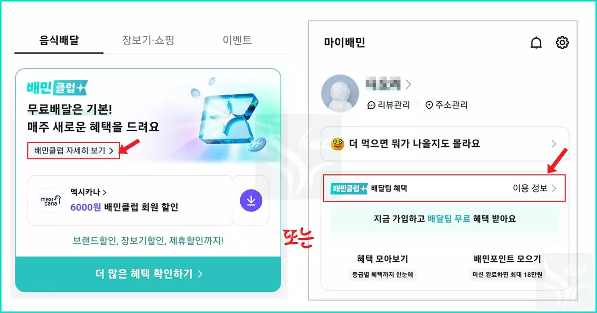 마이배민 배민클럽 이용정보