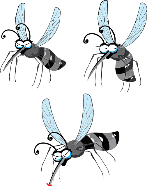 a picture of mosquito repellent