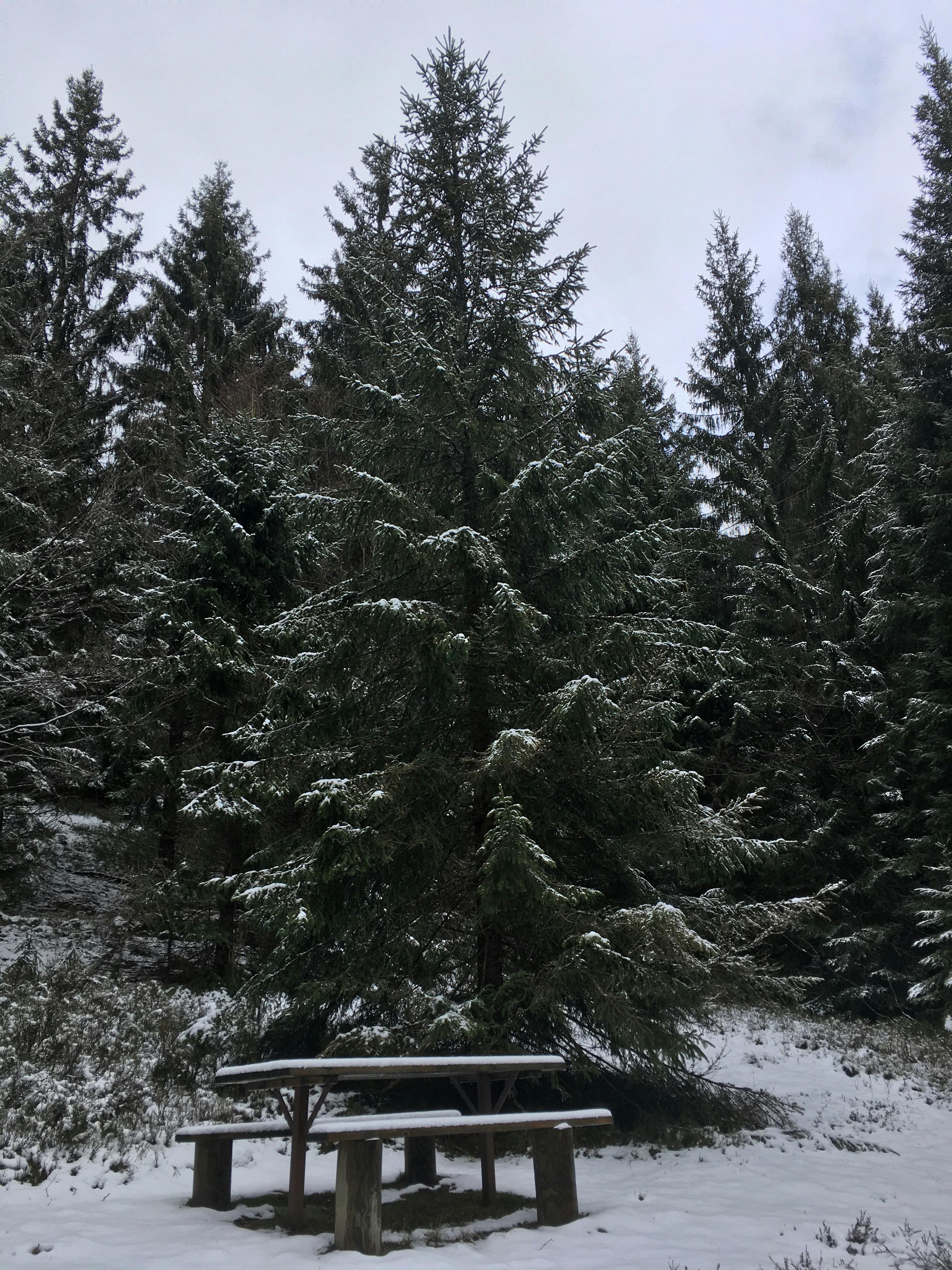 겨울철 면역력 관리