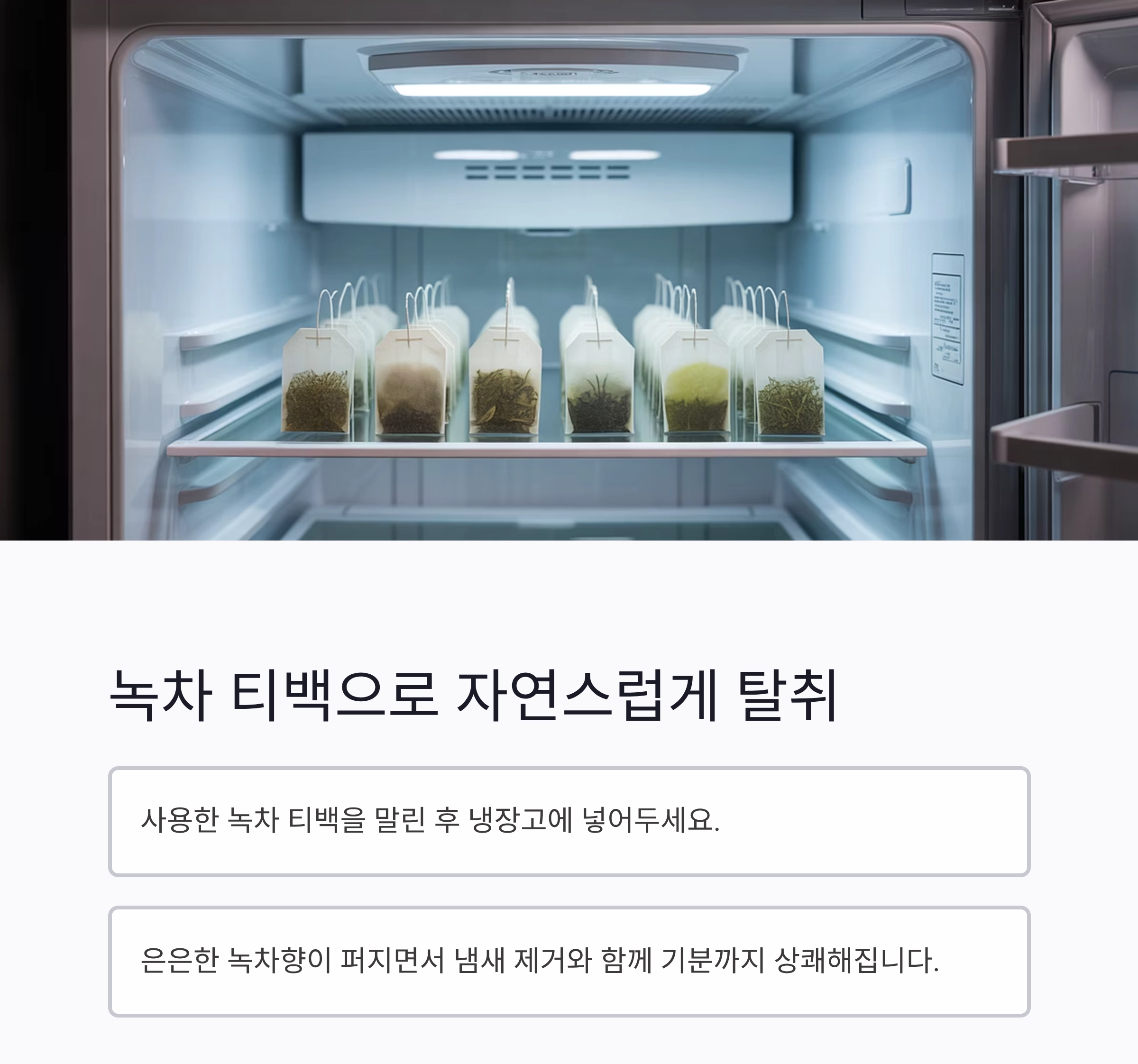 냉장고 냄새 싹 잡는 재료, 이것만 알면 끝!