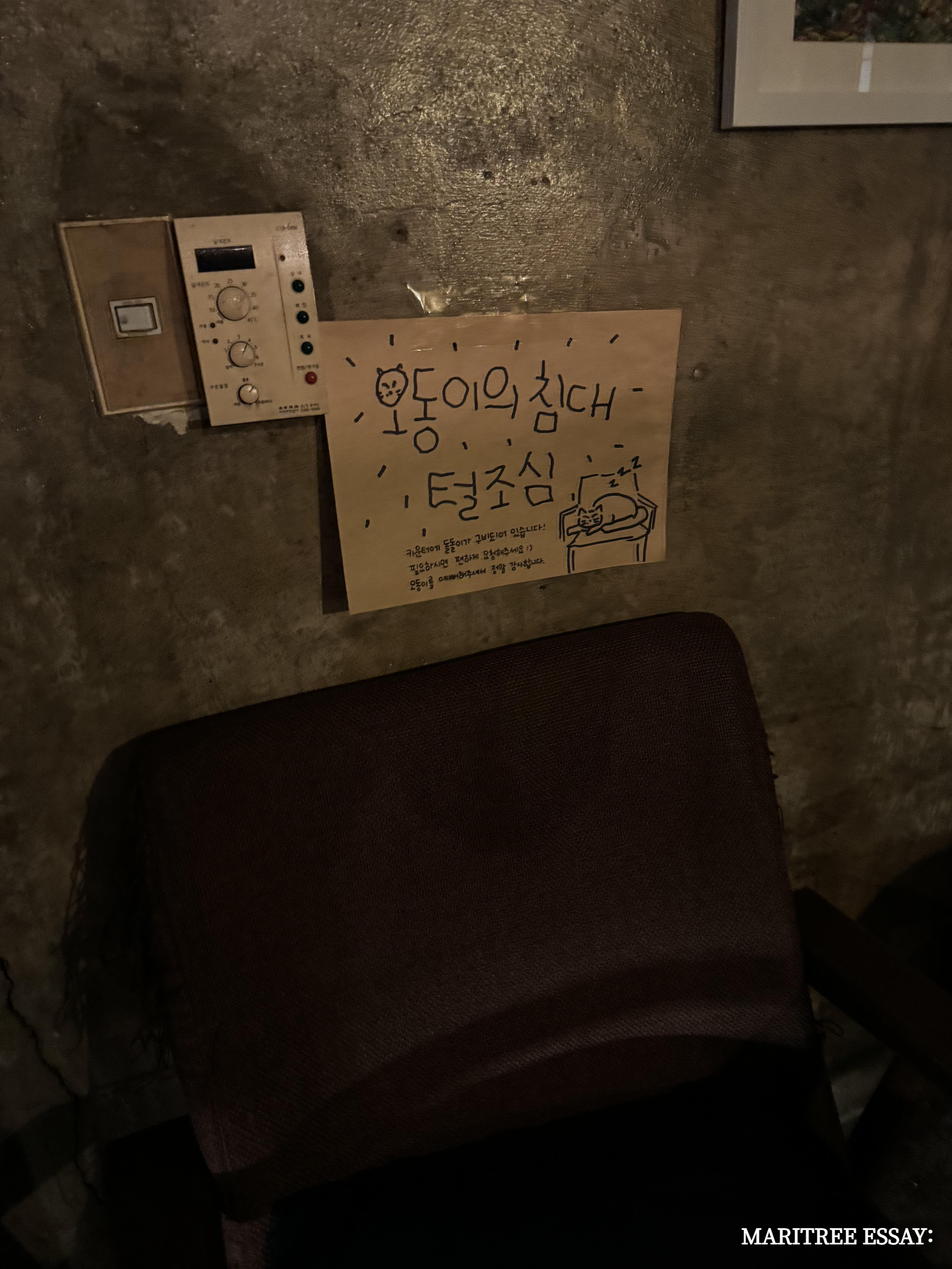 익선동 카페 식물