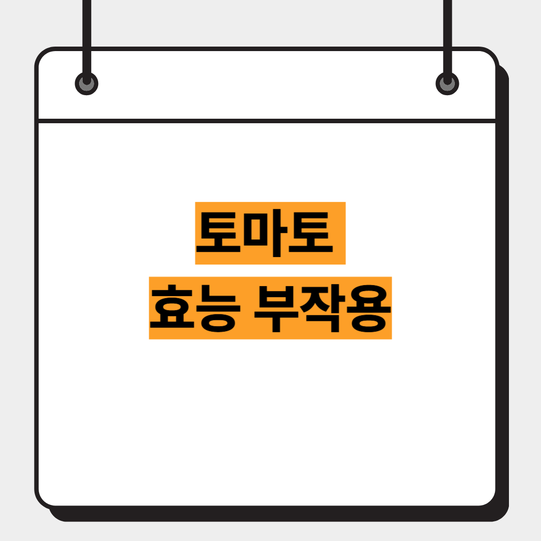 토마토 효능 부작용