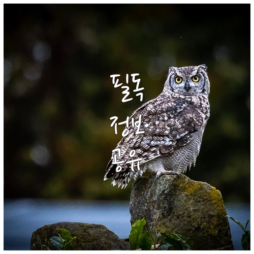 2025년 고흥군 청년 농업 지원 정..