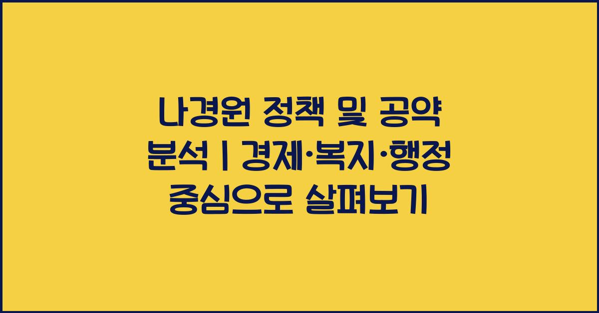 나경원 정책 및 공약