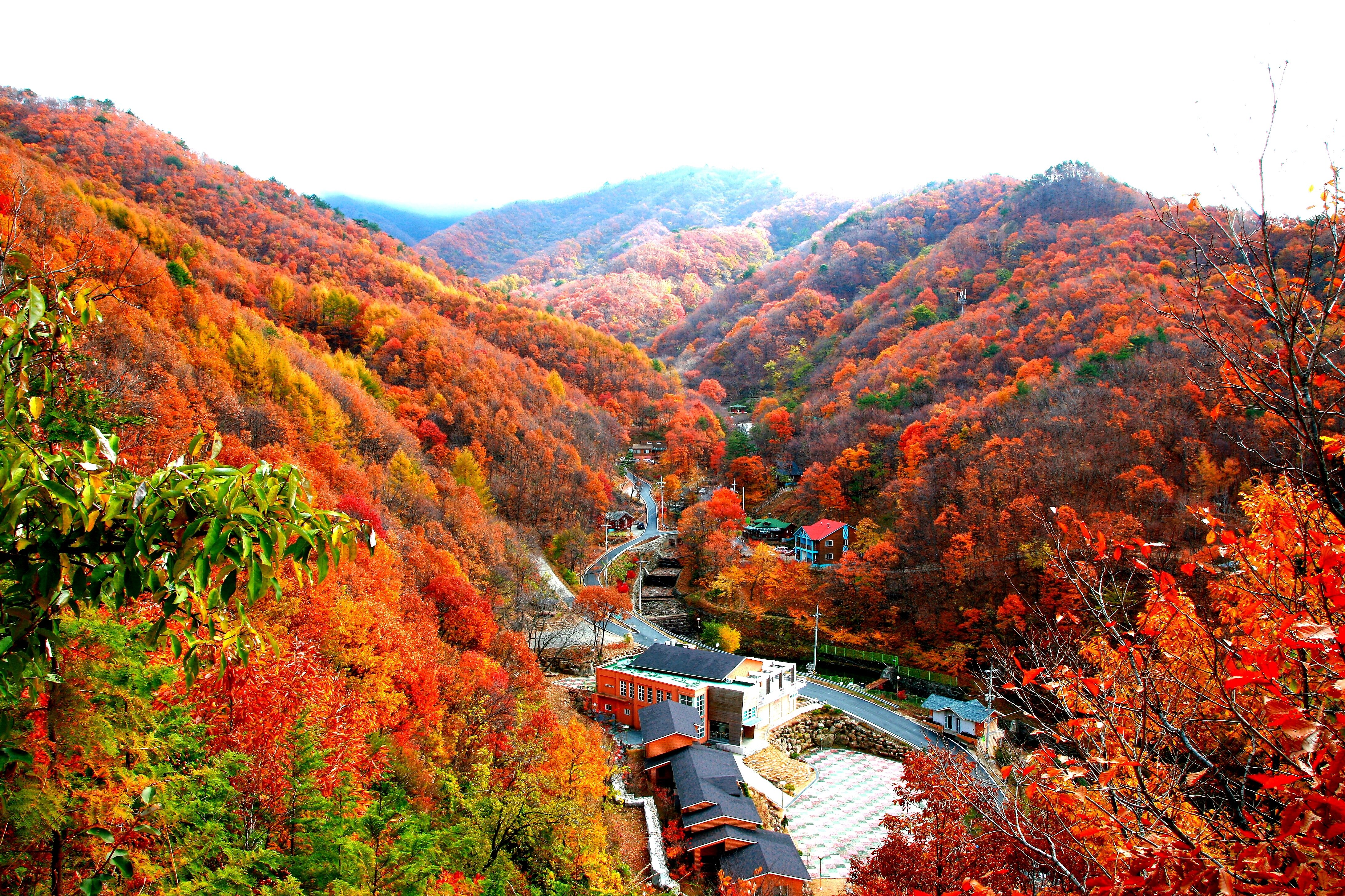 민주지산 등산코스 지도