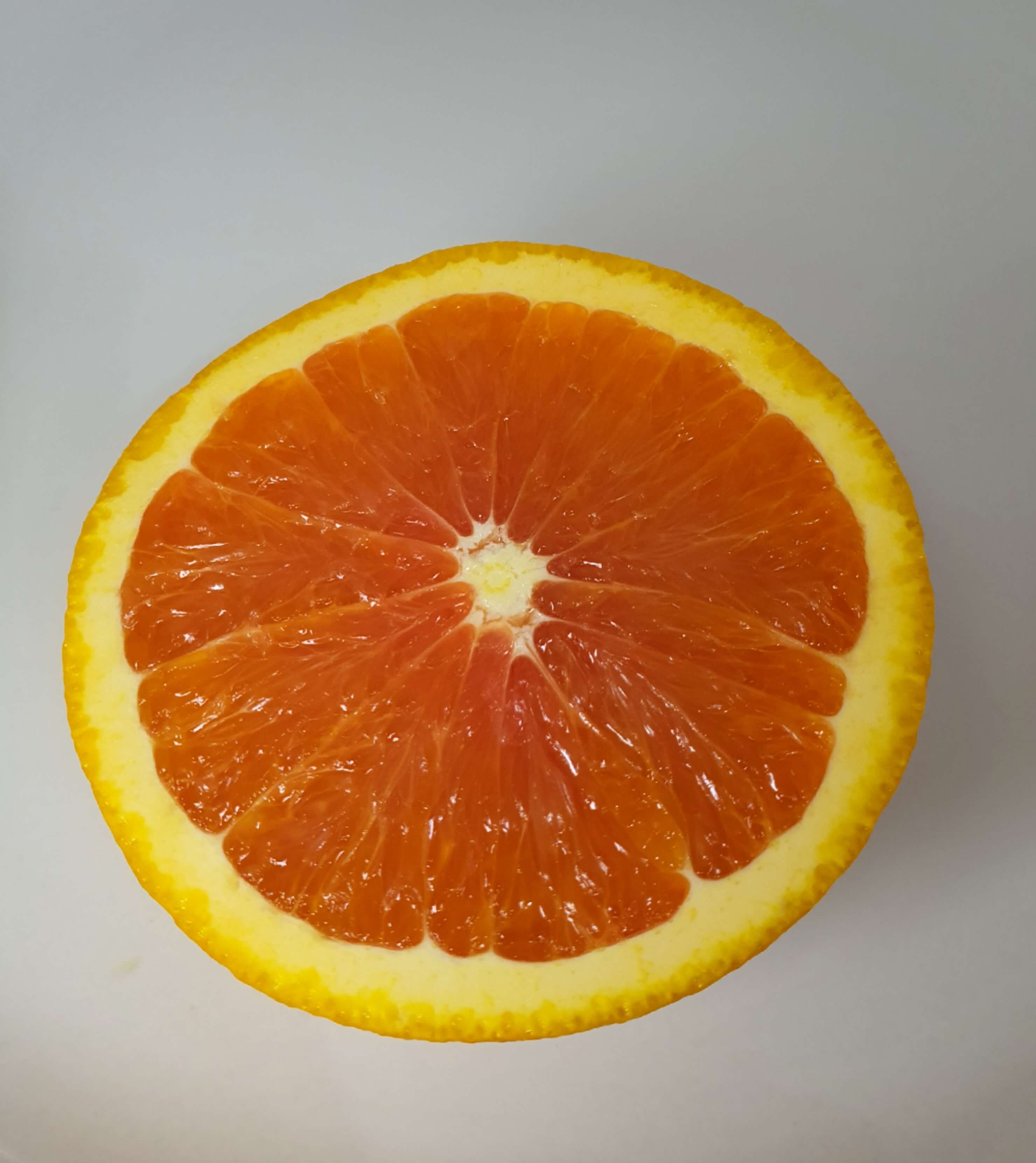 카라카라 오렌지