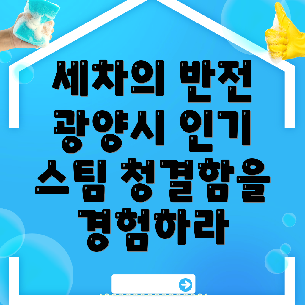스팀세차