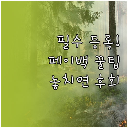 기후동행카드 카드 등록 및 페이백 신..