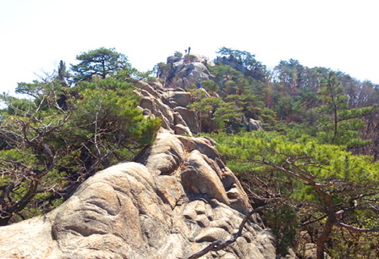 불곡산 등산코스