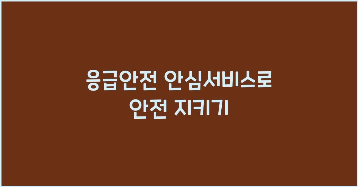 응급안전 안심서비스