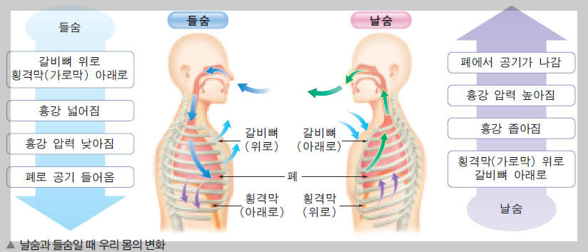 공기의 이동