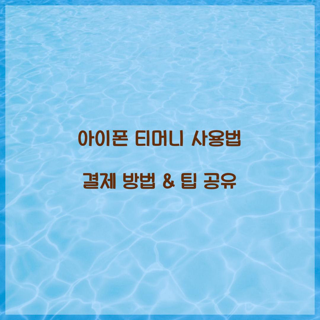 아이폰 티머니 사용법 결제