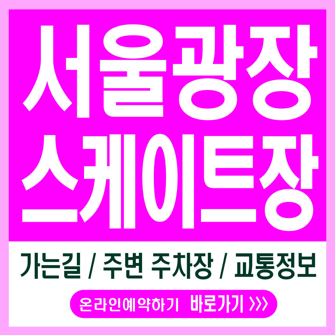 서울광장 스케이트장-가는길과 주차장