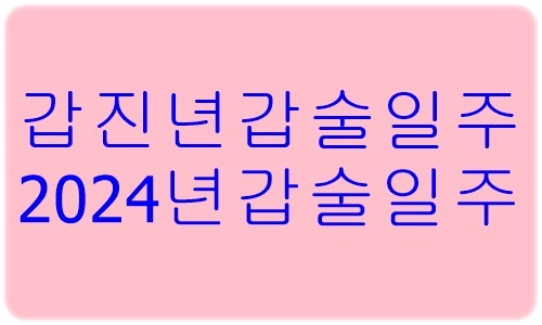 갑진년갑술일주